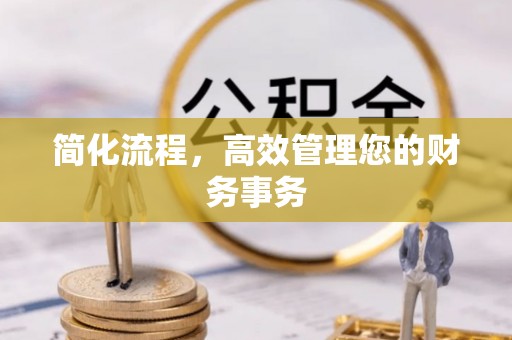 龙陵简化流程，高效管理您的财务事务