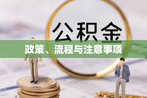 龙陵政策、流程与注意事项