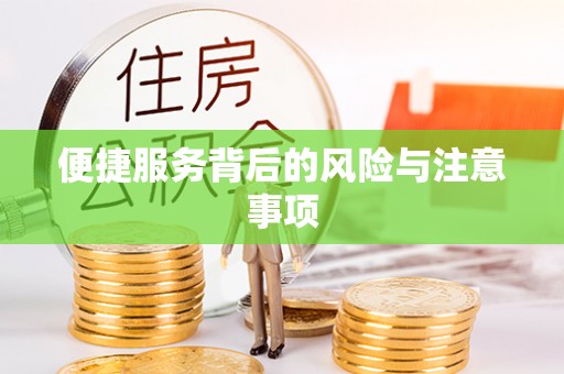 龙陵便捷服务背后的风险与注意事项