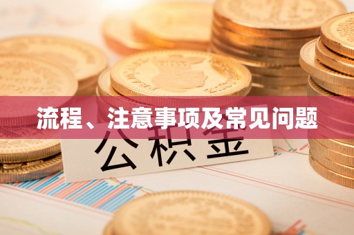 龙陵流程、注意事项及常见问题