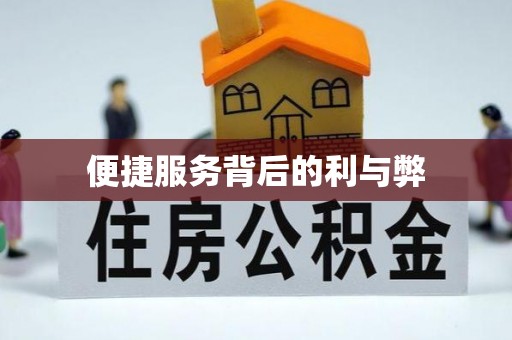 龙陵便捷服务背后的利与弊