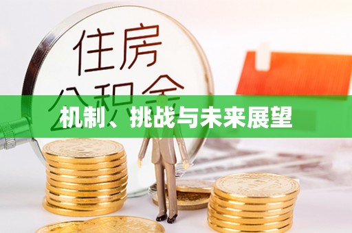 龙陵机制、挑战与未来展望