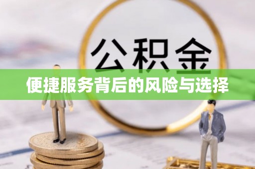龙陵便捷服务背后的风险与选择