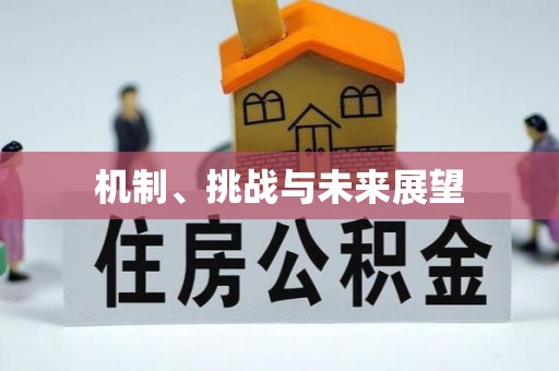 龙陵机制、挑战与未来展望