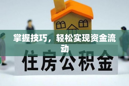 龙陵掌握技巧，轻松实现资金流动
