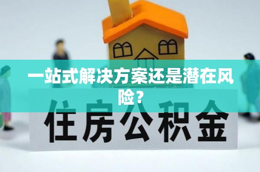 龙陵一站式解决方案还是潜在风险？