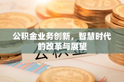 龙陵公积金业务创新，智慧时代的改革与展望