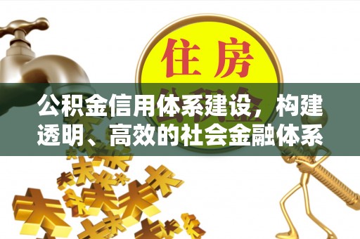 龙陵公积金信用体系建设，构建透明、高效的社会金融体系