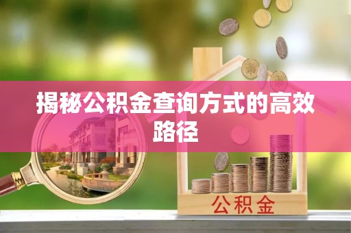 龙陵揭秘公积金查询方式的高效路径