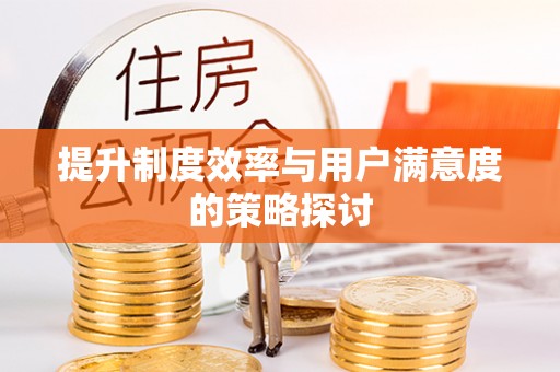 龙陵提升制度效率与用户满意度的策略探讨