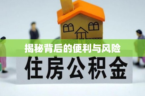 龙陵揭秘背后的便利与风险