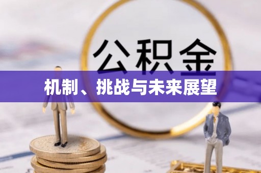 龙陵机制、挑战与未来展望